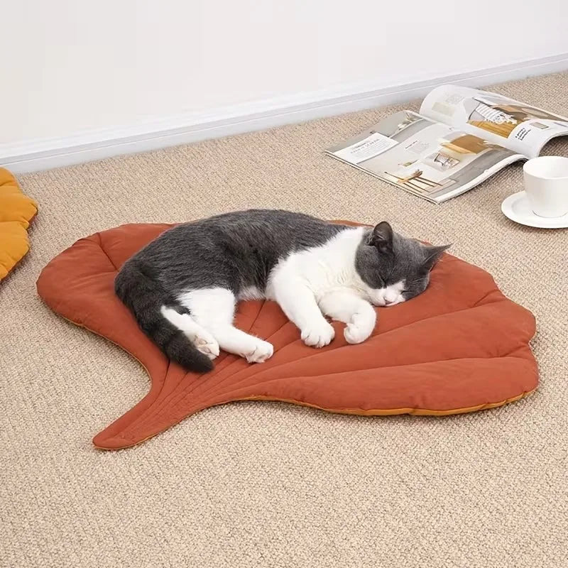 Cat lying on a gingko leaf-shaped mat