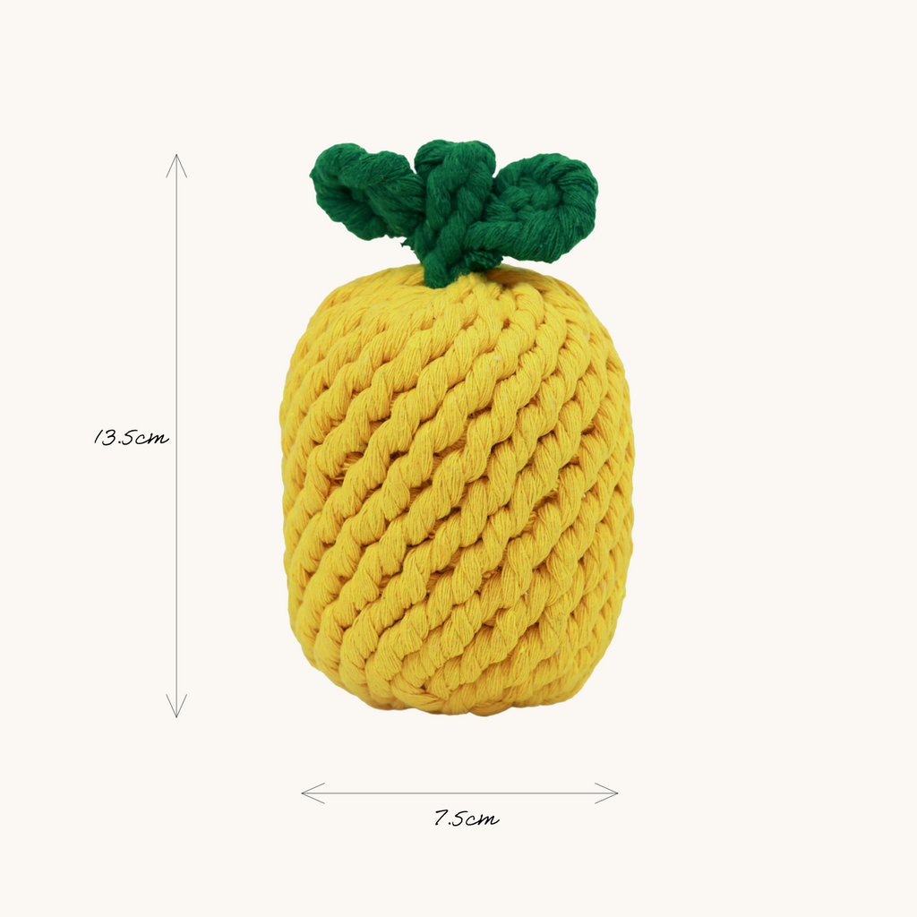 Dimension of hand knitted pineapple rope toy
