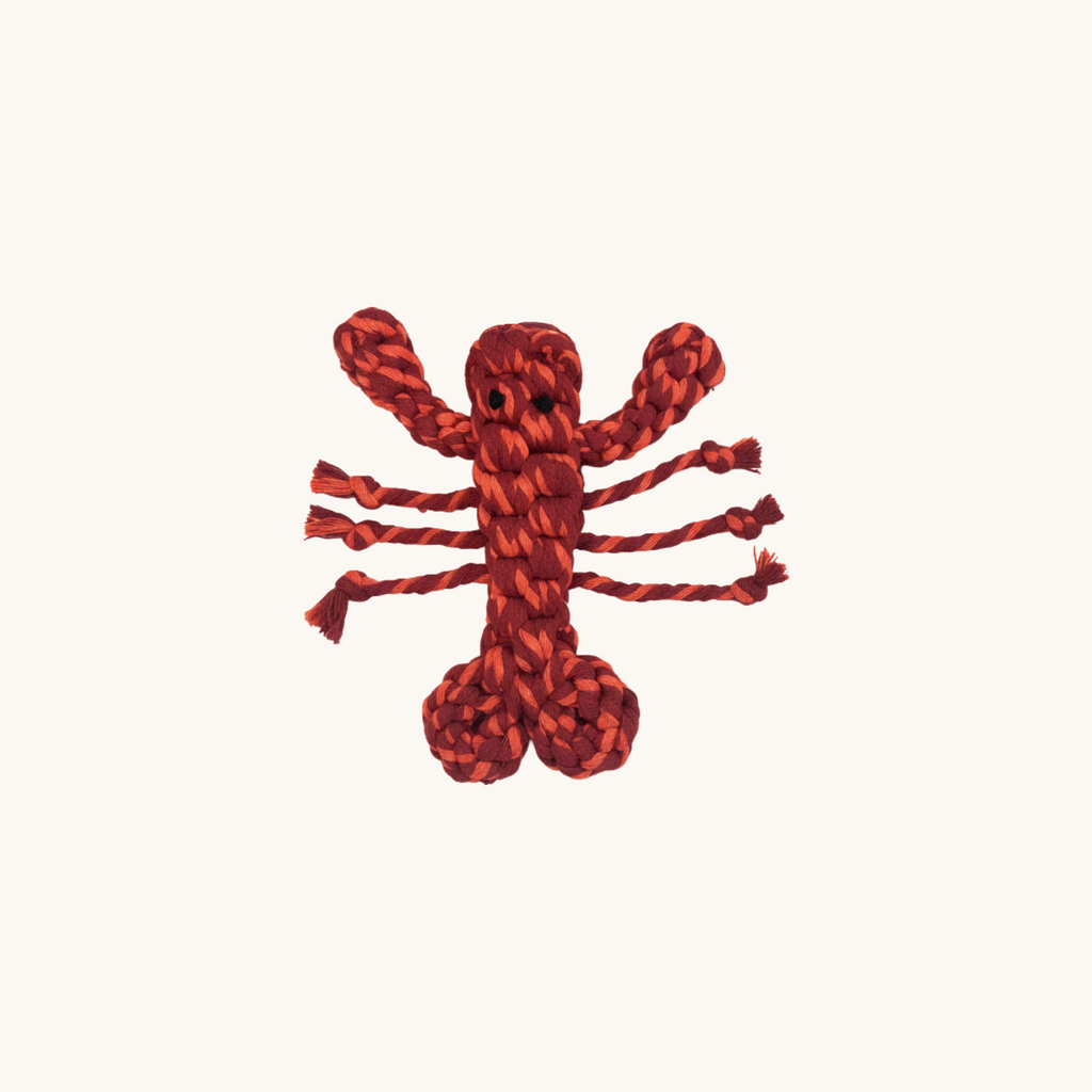 Hand-tied from recycled cotton rope lobster dog toy in small size