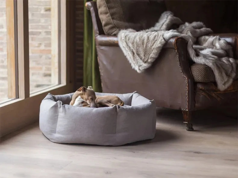 Light gray donut dog bed next to a vintage leather armchair