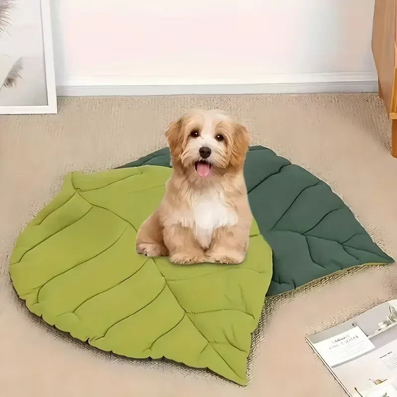 Dog sitting on a green leaf-shaped mat