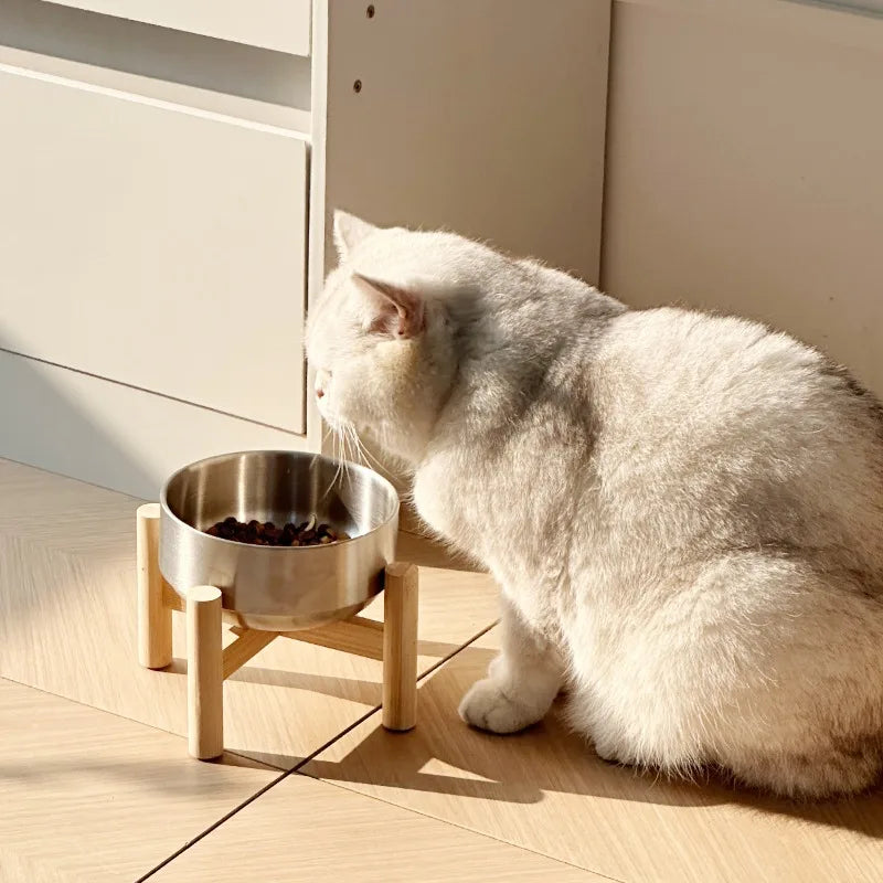 A cat eating from a raised stainless steel bowl