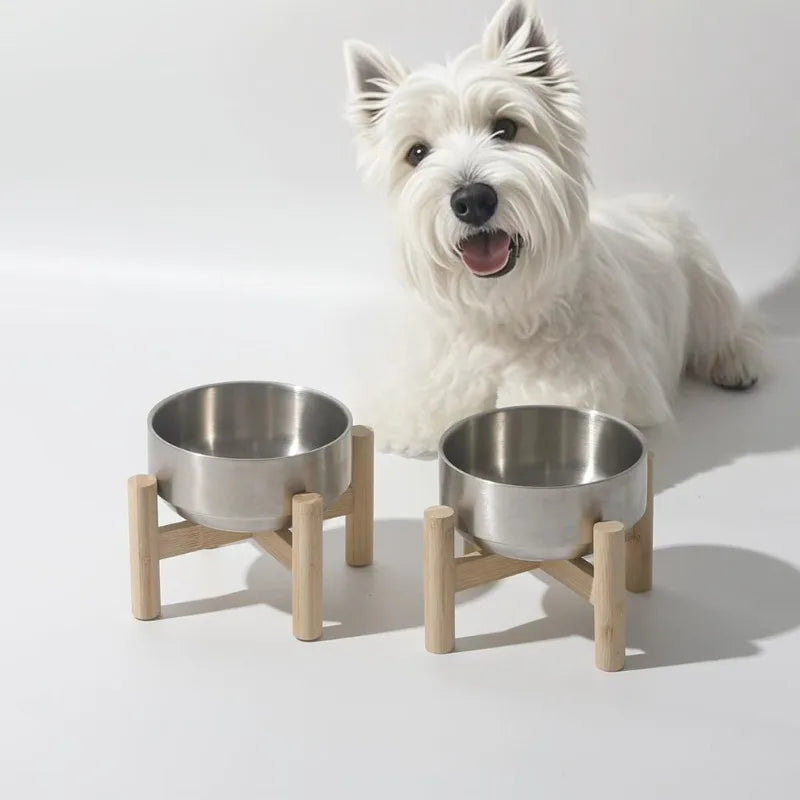 Raised Stainless Steel Bowl suitable for small and medium pet