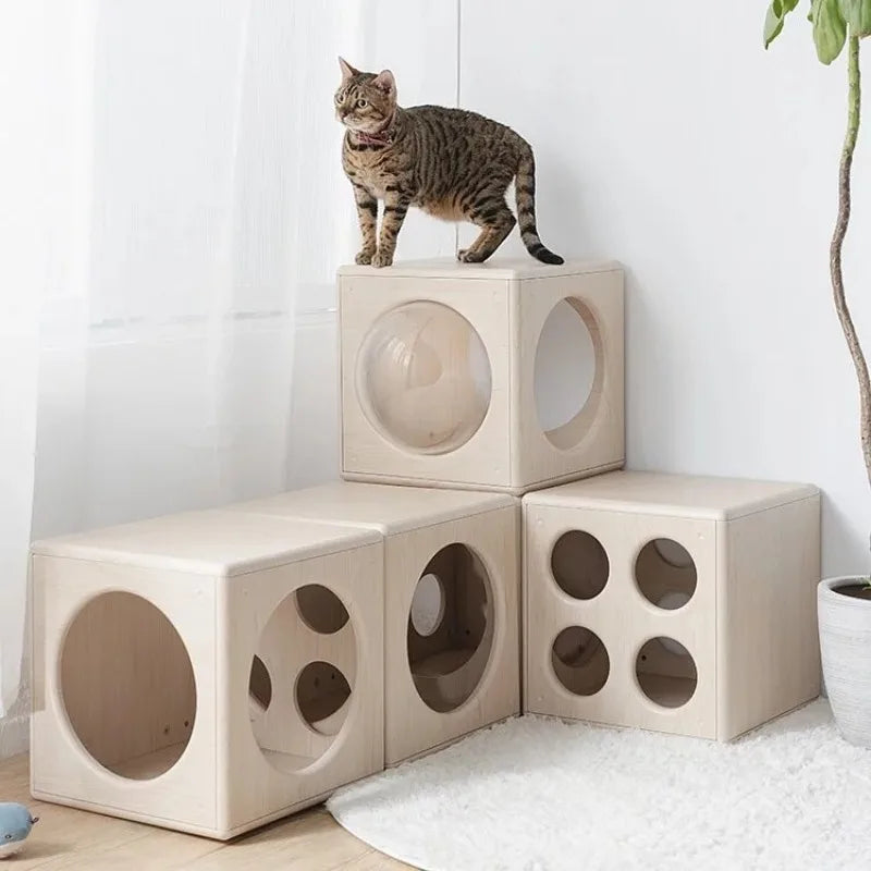 Dice Cat Blocks