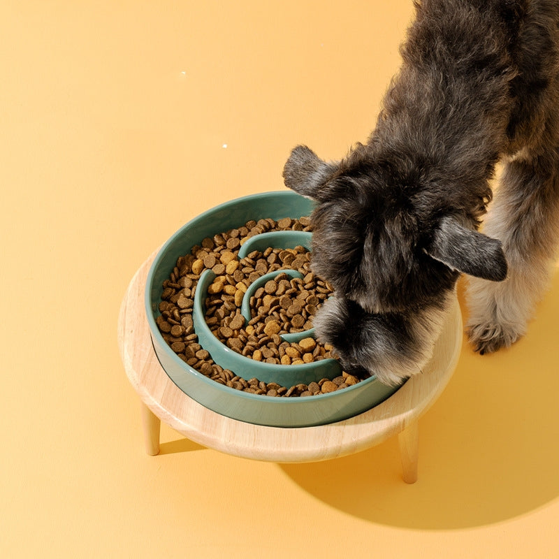 dog eating kibble from raised ceramic slow feeder bowl