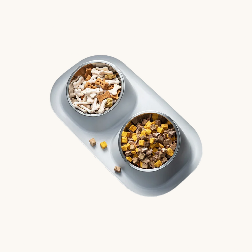 Twin pet food bowl filled with different food and snack